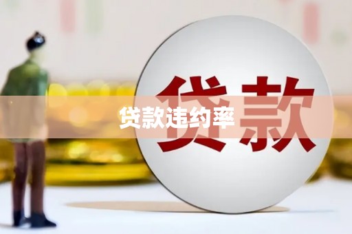 白朗贷款违约率