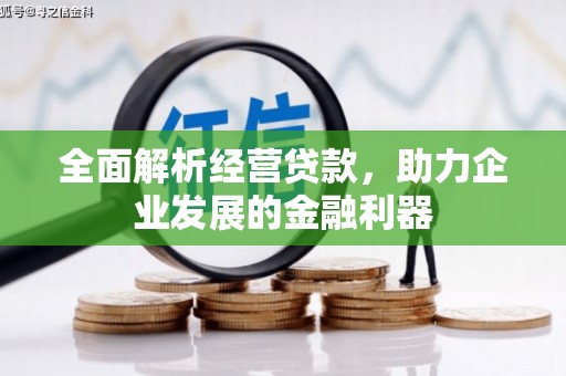 白朗全面解析经营贷款，助力企业发展的金融利器