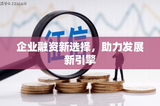 白朗企业融资新选择，助力发展新引擎