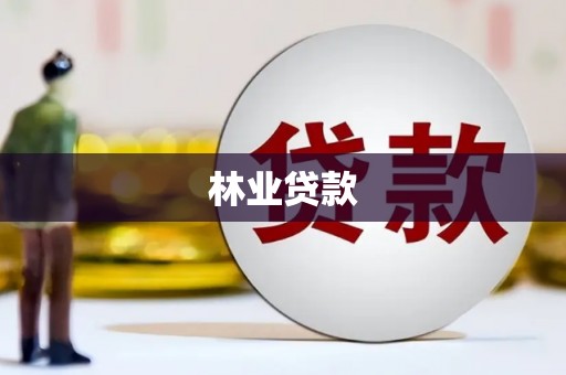 白朗林业贷款