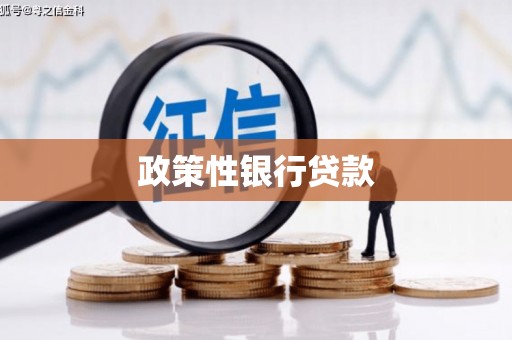 白朗政策性银行贷款