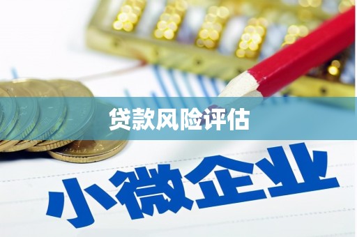 白朗贷款风险评估