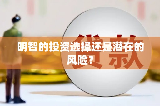 白朗明智的投资选择还是潜在的风险？