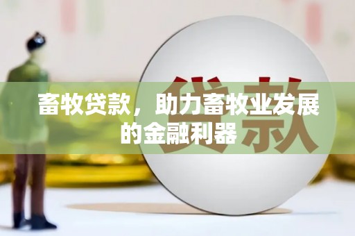 白朗畜牧贷款，助力畜牧业发展的金融利器