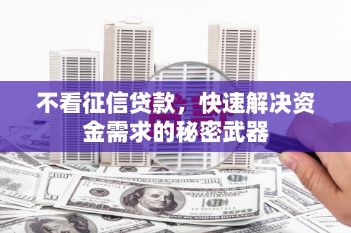 白朗不看征信贷款，快速解决资金需求的秘密武器