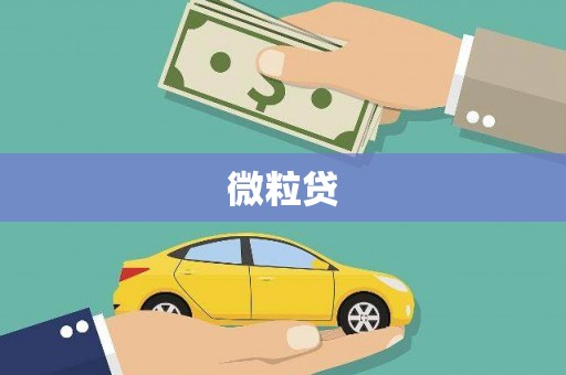 白朗微粒贷