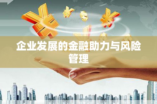 白朗企业发展的金融助力与风险管理