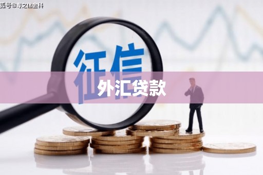 白朗外汇贷款
