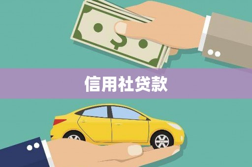 白朗信用社贷款