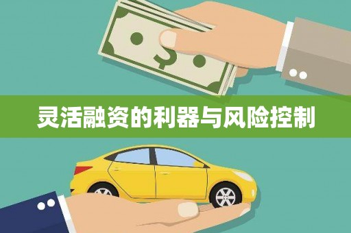 白朗灵活融资的利器与风险控制