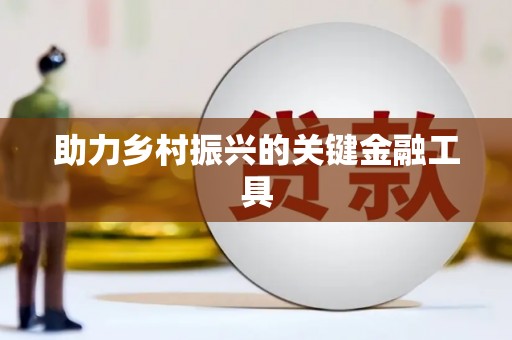 白朗助力乡村振兴的关键金融工具