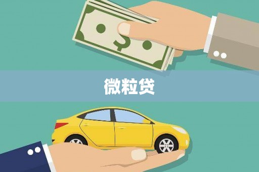 白朗微粒贷