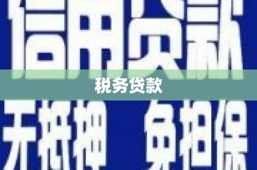 白朗税务贷款