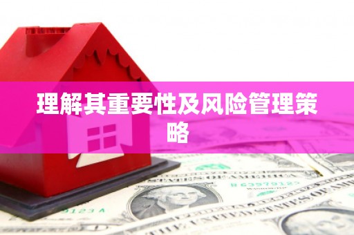 白朗理解其重要性及风险管理策略