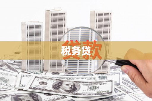 白朗税务贷