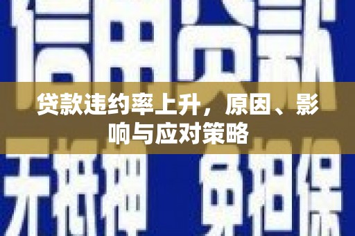 白朗贷款违约率上升，原因、影响与应对策略
