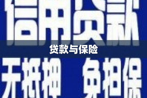 白朗贷款与保险