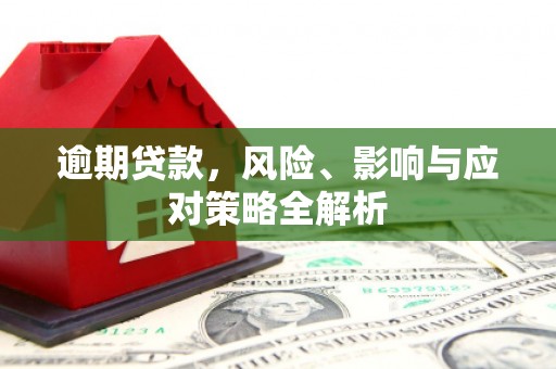 白朗逾期贷款，风险、影响与应对策略全解析