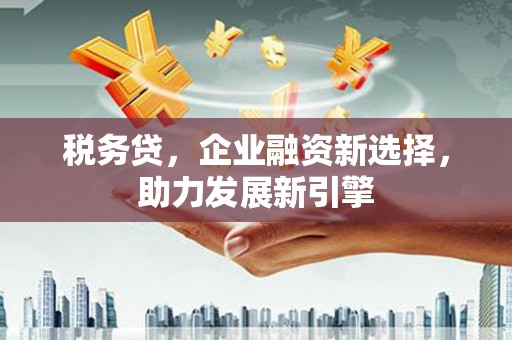 白朗税务贷，企业融资新选择，助力发展新引擎