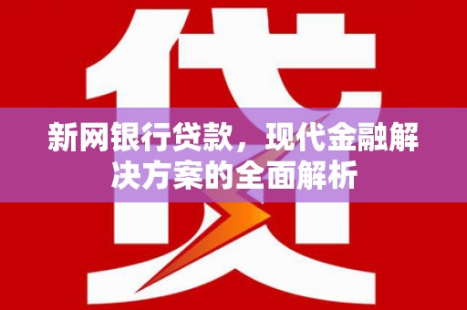 白朗新网银行贷款，现代金融解决方案的全面解析
