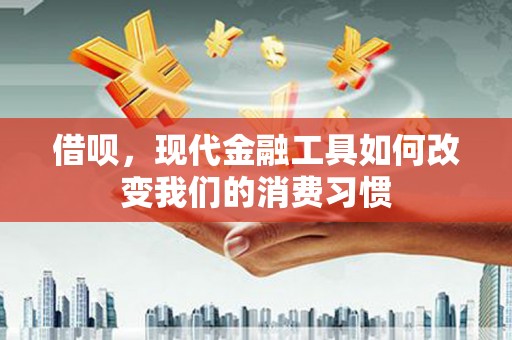 白朗借呗，现代金融工具如何改变我们的消费习惯