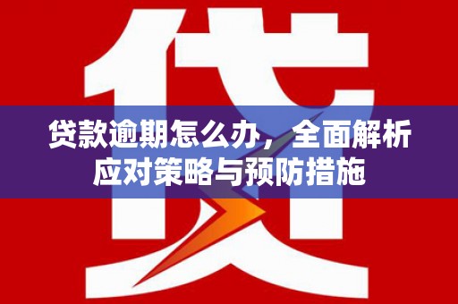 白朗贷款逾期怎么办，全面解析应对策略与预防措施