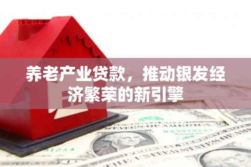 白朗养老产业贷款，推动银发经济繁荣的新引擎