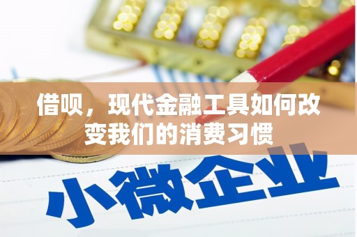 白朗借呗，现代金融工具如何改变我们的消费习惯