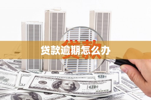 白朗贷款逾期怎么办