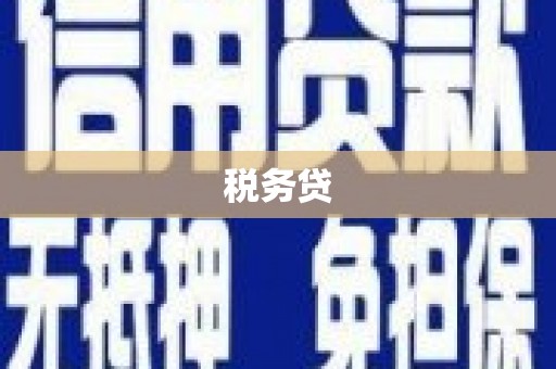 白朗税务贷