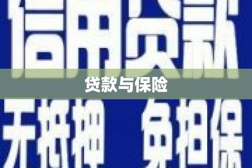 白朗贷款与保险