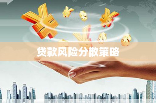 白朗贷款风险分散策略