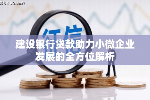 白朗建设银行贷款助力小微企业发展的全方位解析