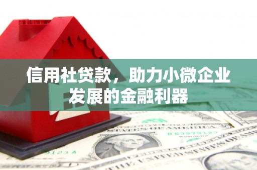 白朗信用社贷款，助力小微企业发展的金融利器