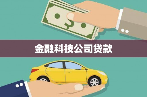白朗金融科技公司贷款