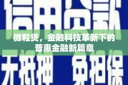 白朗微粒贷，金融科技革新下的普惠金融新篇章