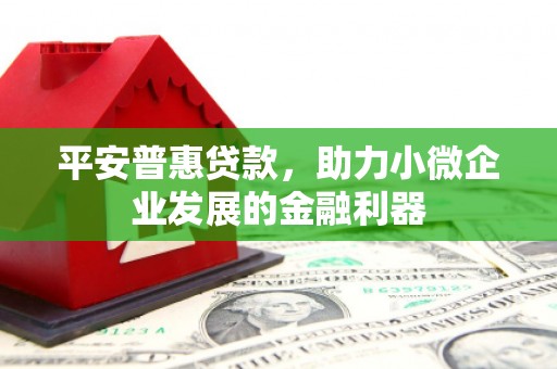 白朗平安普惠贷款，助力小微企业发展的金融利器