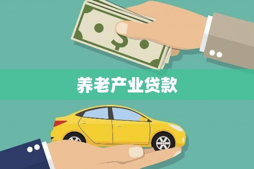 白朗养老产业贷款