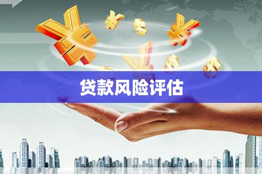 白朗贷款风险评估