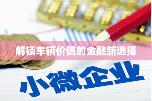 白朗解锁车辆价值的金融新选择
