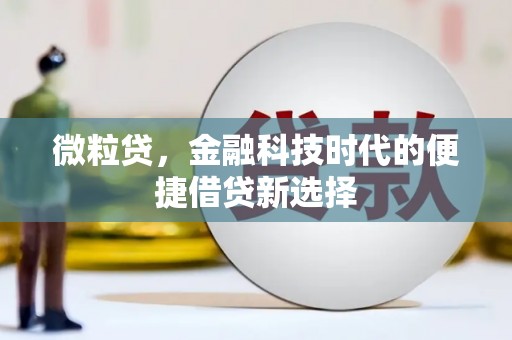 白朗微粒贷，金融科技时代的便捷借贷新选择