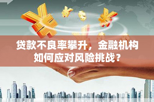 白朗贷款不良率攀升，金融机构如何应对风险挑战？