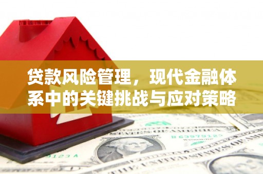 白朗贷款风险管理，现代金融体系中的关键挑战与应对策略