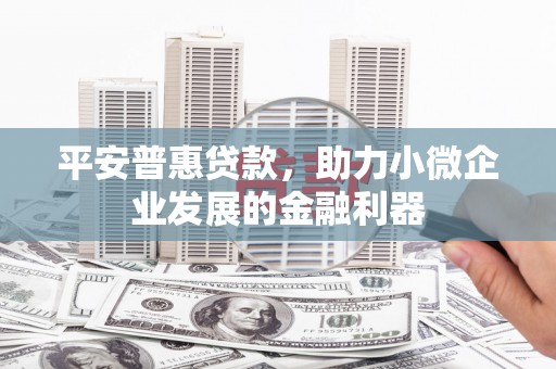 白朗平安普惠贷款，助力小微企业发展的金融利器