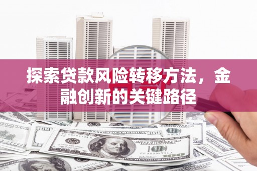 白朗探索贷款风险转移方法，金融创新的关键路径