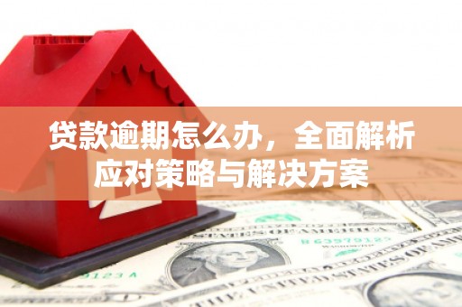 白朗贷款逾期怎么办，全面解析应对策略与解决方案