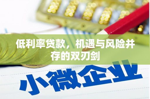 白朗低利率贷款，机遇与风险并存的双刃剑