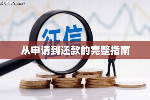 白朗从申请到还款的完整指南