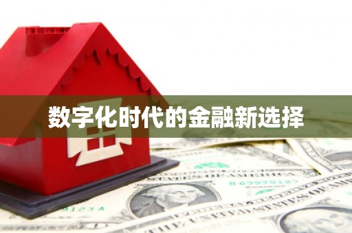 白朗数字化时代的金融新选择