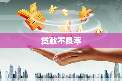 白朗贷款不良率